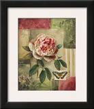 Rose and Butterfly