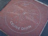 Celine Dion's Star on Sidewalk  Canada's Walk of Fame  Toronto  Ontario  Canada