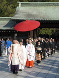 Shinto Wedding Procession at the Meiji Jingu Shrine  Tokyo  Japan  Asia