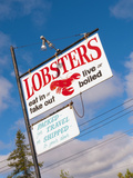 Sea Food for Sale Signs  Mount Desert Island  Maine  New England  USA  North America