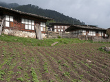 Typical Houses with Potato Fields in Phobjikha Valley  Bhutan  Asia