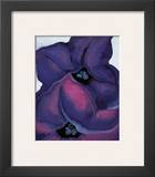 Purple Petunias  1925