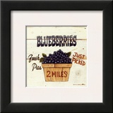 Blueberries Just Picked