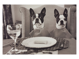 Boston Terriers Dining