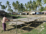 Woman Laying Fish for Drying in the Sun  Lay Win Kwin Village  Irrawaddy Delta  Myanmar (Burma)