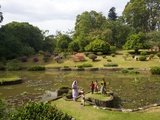 Visitors in the Royal Botanical Garden  Peradeniya  Kandy  Sri Lanka  Asia