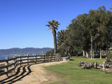 Palisades Park  Santa Monica  Los Angeles  California  Usa