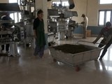 Interior of Tea Factory  Nepal Tea Is Essentially Identical to Darjeeling Tea  Fikkal  Nepal  Asia