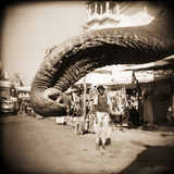 Elephant Trunk at Indian Bazaar