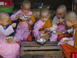 Young Novice Nuns Having their Breakfast in the Streets of Yangon  Myanmar (Burma)  Asia