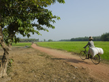 Farmer Carrying Big Bag on Her Bicycle by Rice Paddies  Myaungma  Irrawaddy Delta  Myanmar (Burma)