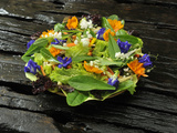 Organic Salad with Edible Flowers  Philippines  Southeast Asia  Asia
