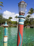 Venetian Pool  Coral Gables  Miami  Florida  United States of America  North America