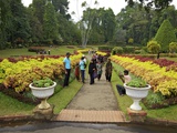 Visitors in the Royal Botanical Garden  Peradeniya  Kandy  Sri Lanka  Asia