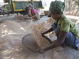 Production of Shrimp Powder in a Fish Farm  Irrawaddy Delta  Myanmar (Burma)  Asia