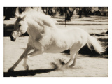 Running Horse