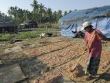 Drying Prawns in Fishing Village of Lay Win Kwin Village  Irrawaddy Delta  Myanmar (Burma)  Asia