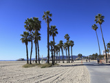 Santa Monica  Los Angeles  California  Usa