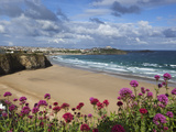 Great Western Beach  Newquay  Cornwall  England
