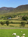 Luke's Mountain  Mourne Mountains  County Down  Ulster  Northern Ireland  United Kingdom  Europe