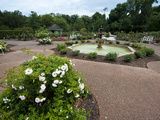 Harry P Leu Gardens  Orlando  Florida  United States of America  North America