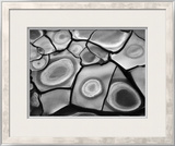Cracked Mud  1969