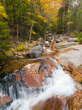 Franconia Notch State Park  New Hampshire  New England  United States of America  North America