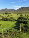 Slievenaglogh  Mourne Mountains  County Down  Ulster  Northern Ireland  United Kingdom  Europe