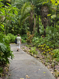 Harry P Leu Gardens  Orlando  Florida  United States of America  North America
