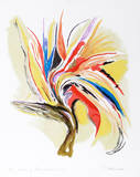Bird of Paradise II