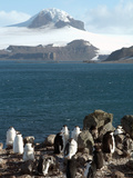 Aitcho Island  Antarctica  Polar Regions