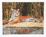Reclining Tiger