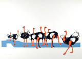 Ostriches