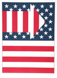 American Flag III