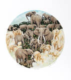 Elephant Composition