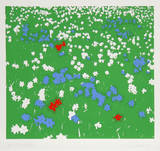 Untitled - Floral Field