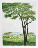 Samburu