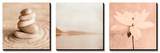 Zen Nature Triptych