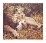 Ngorongoro Lion