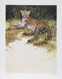 Reclining Leopard