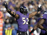 NFL Playoffs 2013: Colts vs Ravens - Ray Lewis