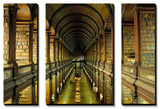 Gallery of the Old Library  Trinity College  Dublin  County Dublin  Eire (Ireland)