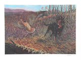 Hunting Dog