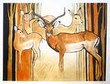 Impalas