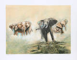 Challenge at Amboseli