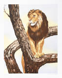 The King