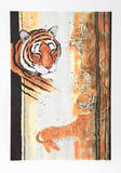 Tiger Composition