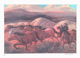 The Wild Horse Runners