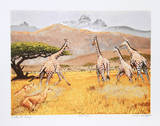Under Mt Kenya