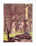 Woodland Venture